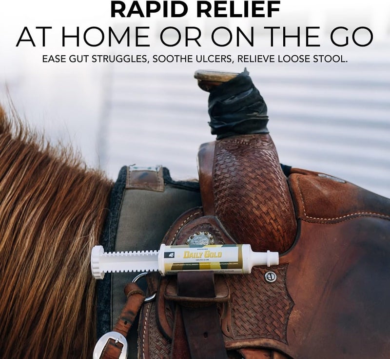 Redmond Daily Gold Syringe Natural Healing Clay for Gastric Ulcers in Horses (Stress Relief Pre-Race Paste) (Single Pack) - Image 5